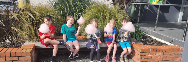 CHRISTMAS CANDY FLOSS